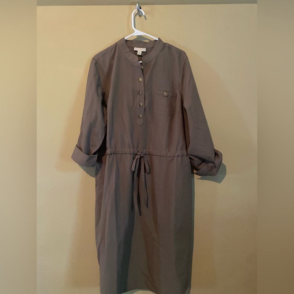 Appleseed's Taupe Long Sleeve Dress